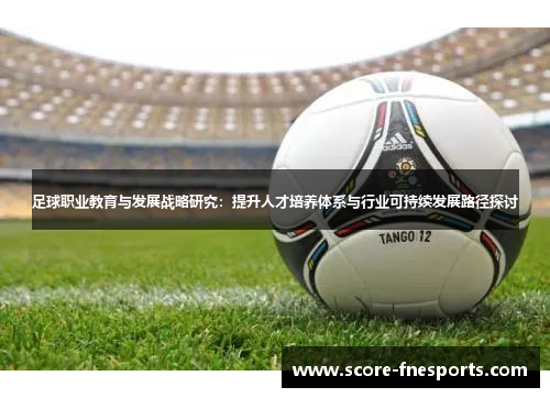 足球职业教育与发展战略研究：提升人才培养体系与行业可持续发展路径探讨