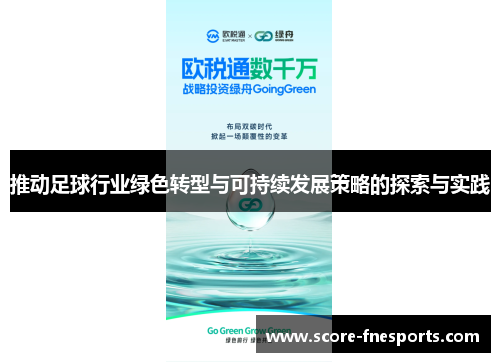 推动足球行业绿色转型与可持续发展策略的探索与实践