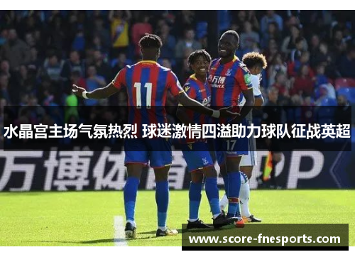 水晶宫主场气氛热烈 球迷激情四溢助力球队征战英超