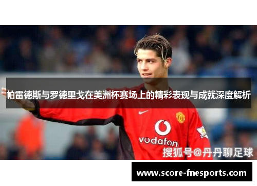 帕雷德斯与罗德里戈在美洲杯赛场上的精彩表现与成就深度解析