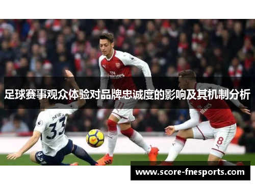 足球赛事观众体验对品牌忠诚度的影响及其机制分析